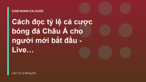 Read more about the article Cách đọc tỷ lệ cá cược bóng đá Châu Á cho người mới bắt đầu – Live Tỷ Lệ Bóng Đá
